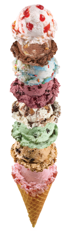 scoops_galore bruster's franchise ice cream